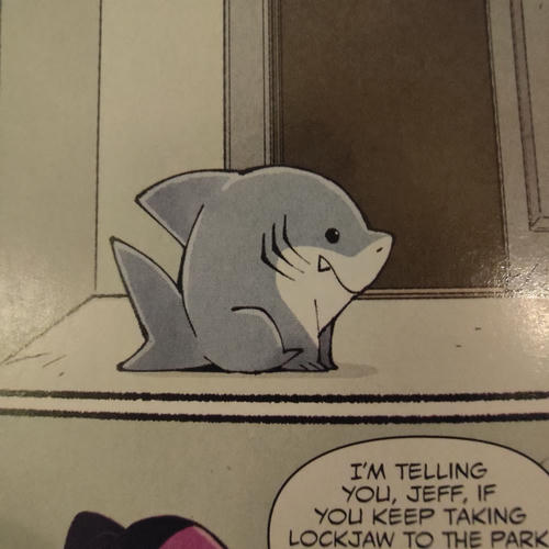 jeff the shark dog