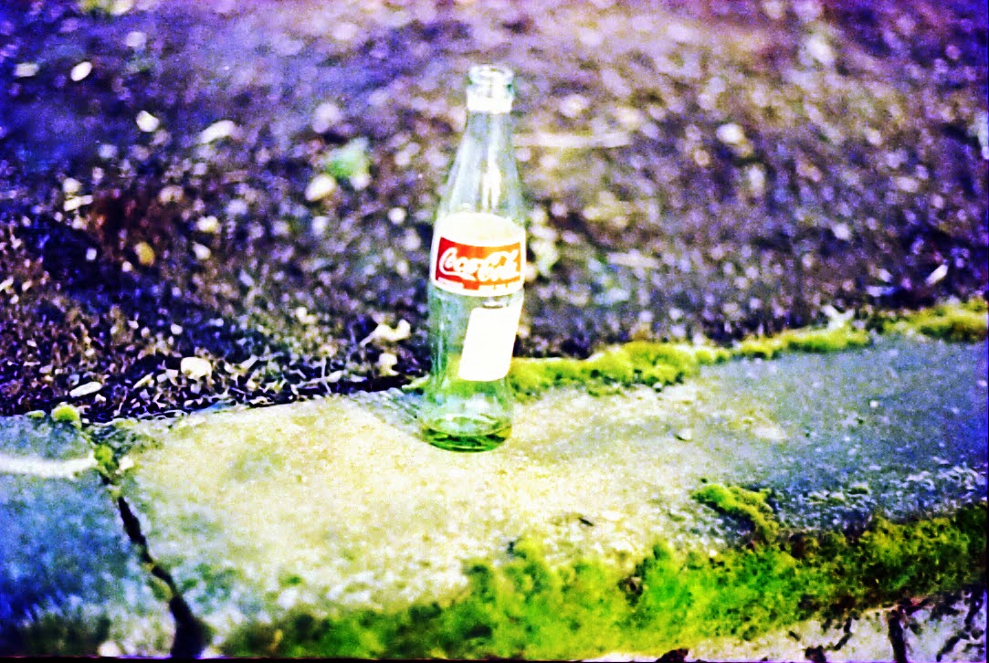 Literally the best picture I got out of my first attempt at color film -- ugh