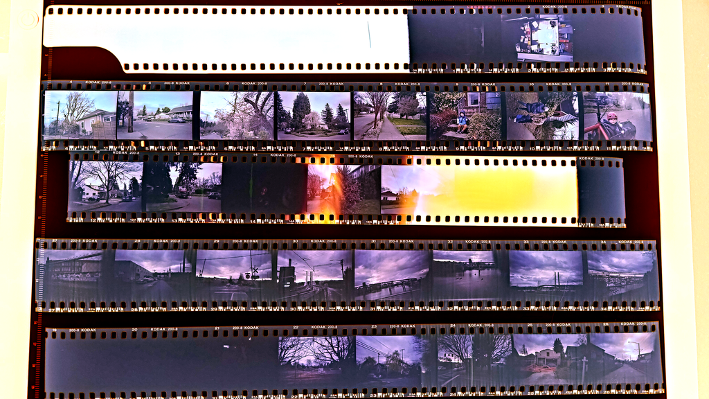 Inverted film on a lightbox