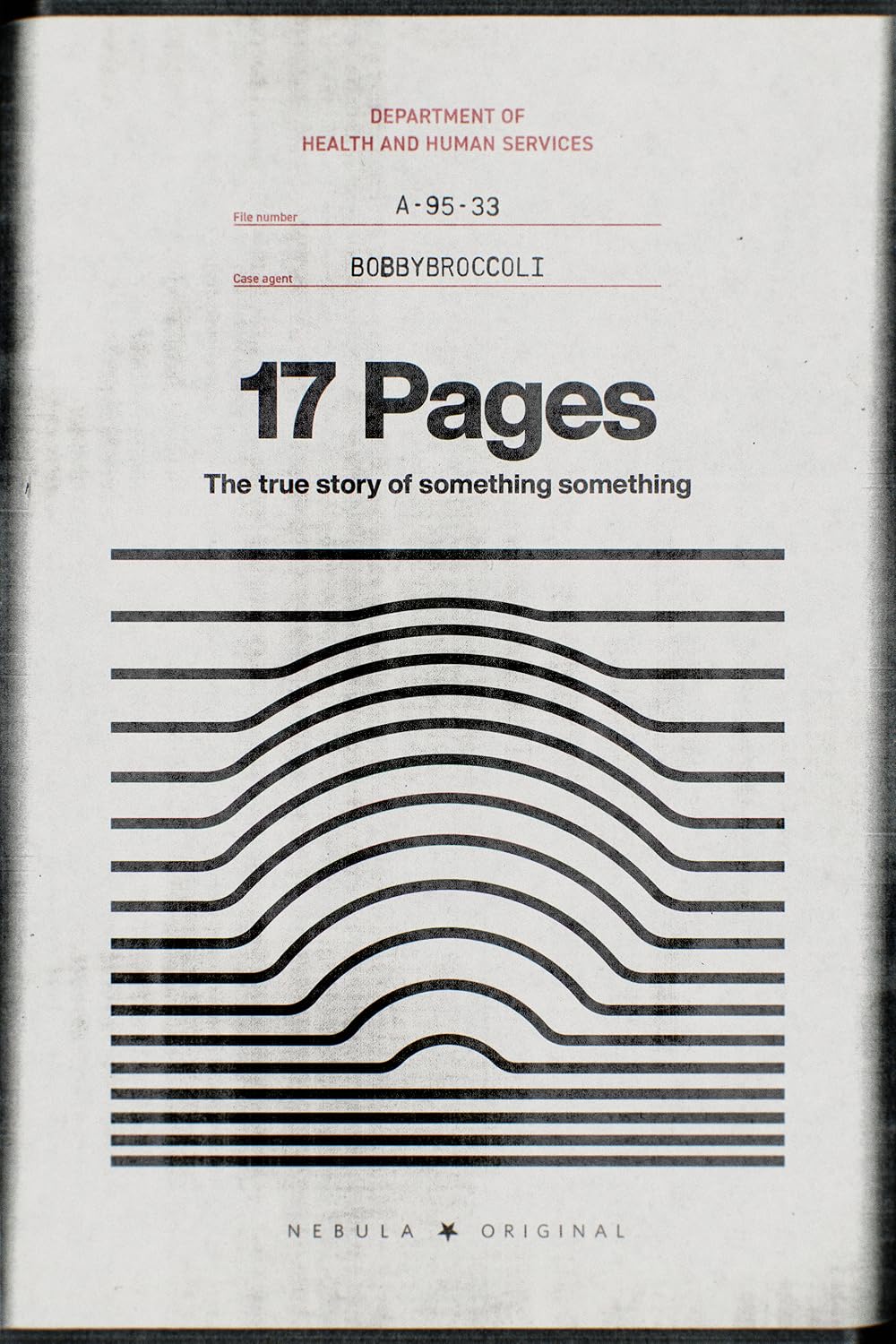 17 pages