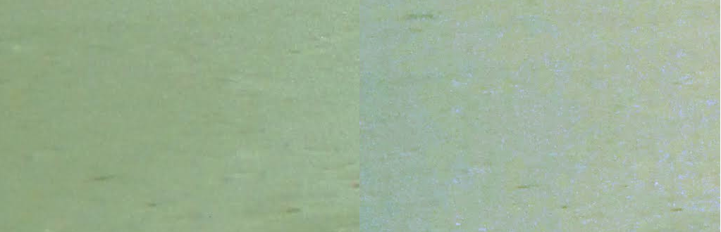 The same photograph digitized (zoomed in to make the effect more obvious); left: using the scanlight, right: using a cheap lightboard