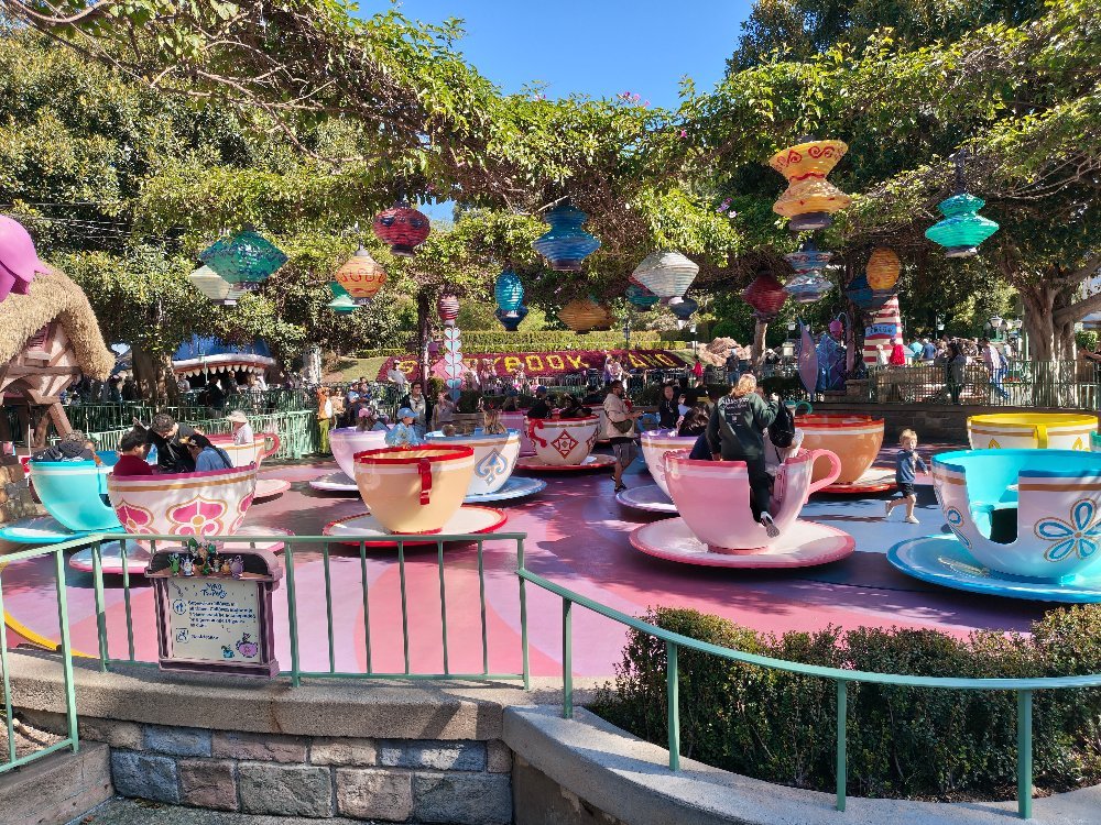 teacups